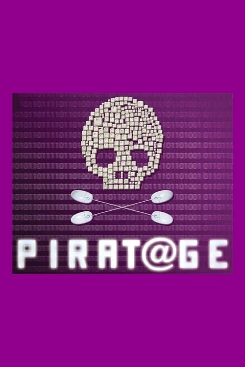 Piratage, Hackers