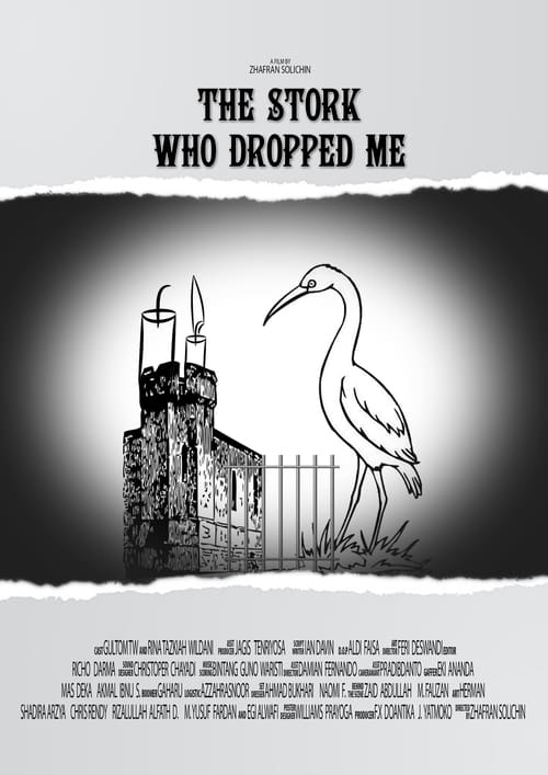 The Stork Who Dropped Me