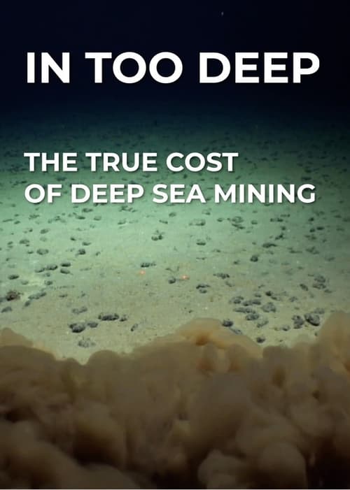 In Too Deep - The True Cost of Deep Sea Mining