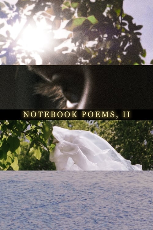 Notebook Poems, Vol. 2