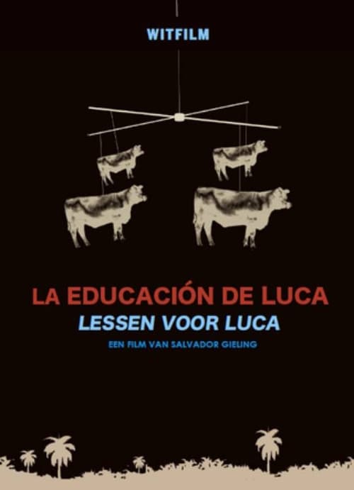 Lessons for Luca