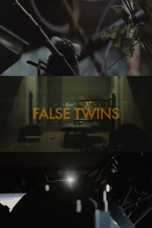 False Twins