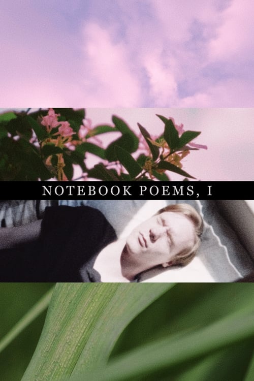 Notebook Poems, Vol. 1