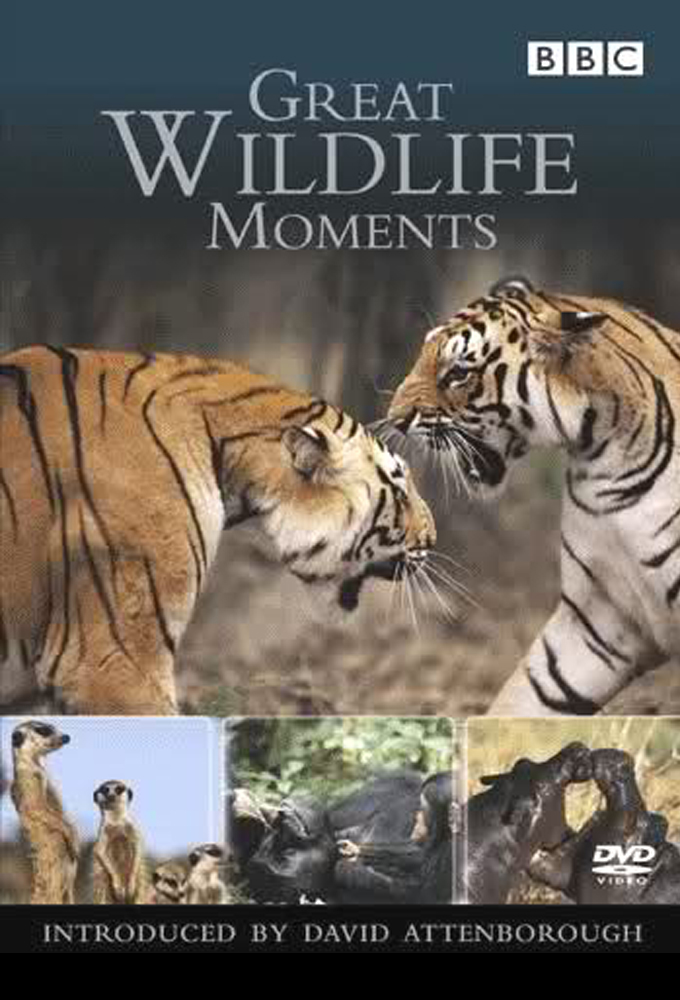 Great Wildlife Moments