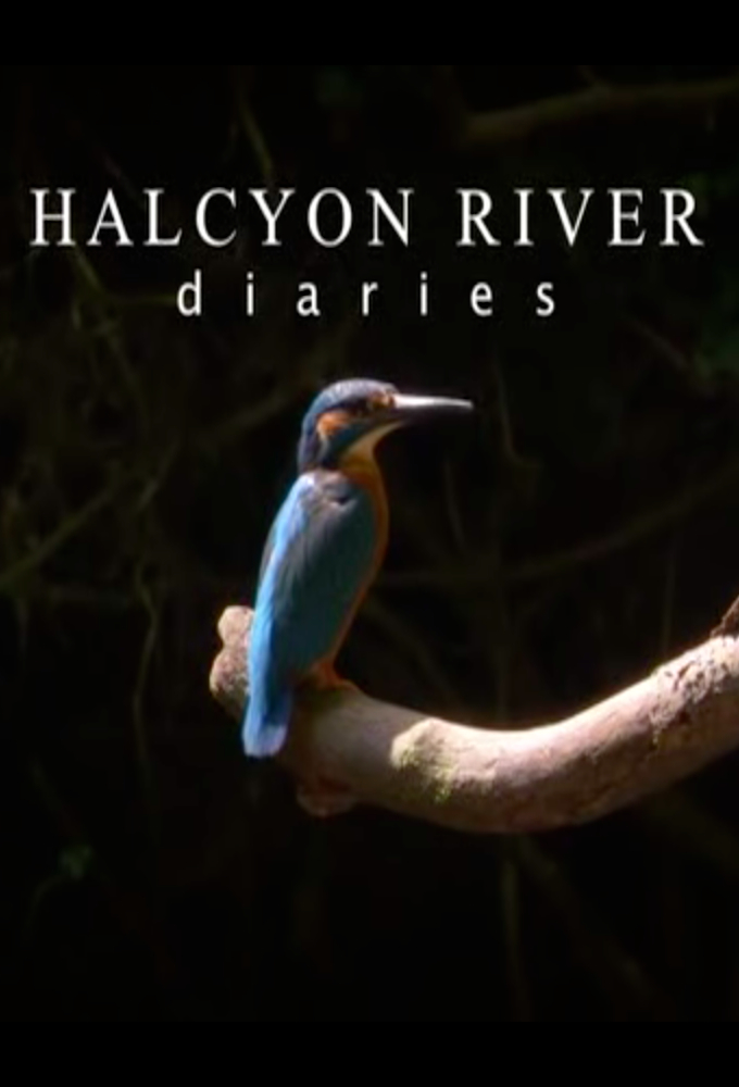 Halcyon River Diaries