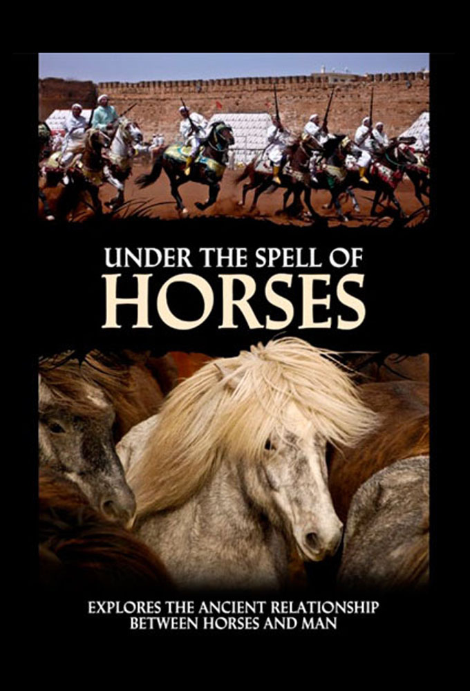 Under the Spell of Horses