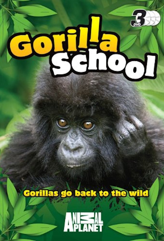 Gorilla School
