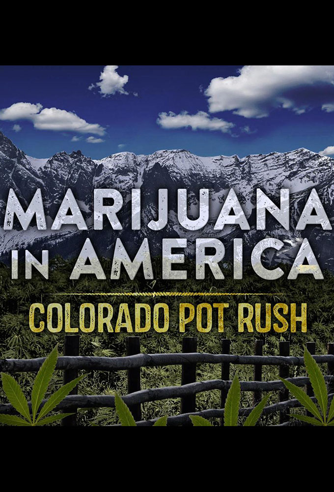 Marijuana in America - Colorado Pot Rush