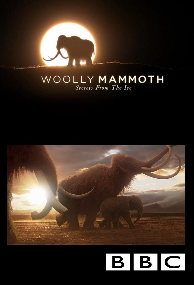 Woolly Mammoth- Secrets From The Ice