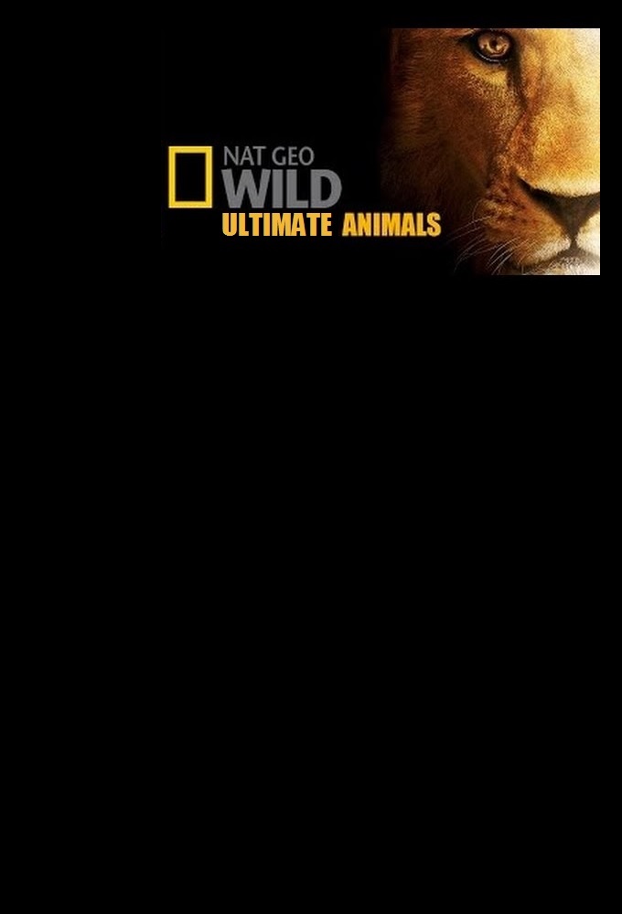 Ultimate Animals