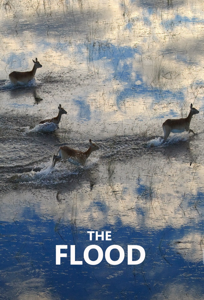 The Flood (2018)