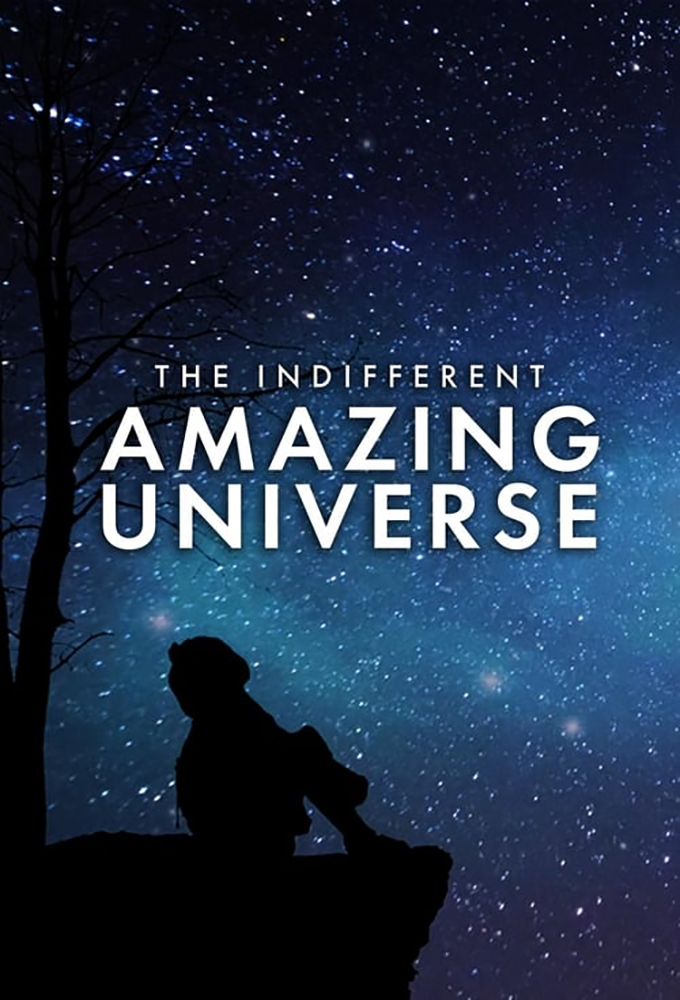 The Indifferent Amazing Universe