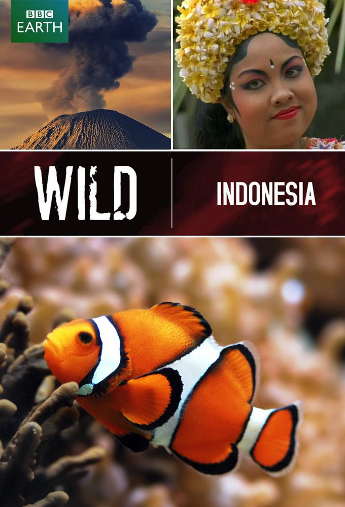 Wild Indonesia