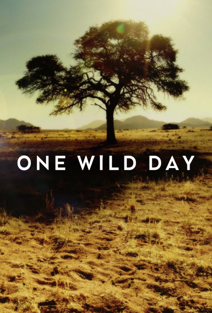 Wild days. Wild Day. World Wildlife Day.