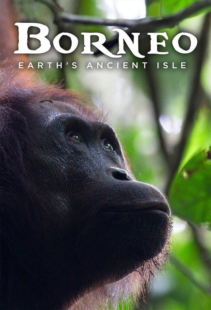 Borneo - Earth's Ancient Isle