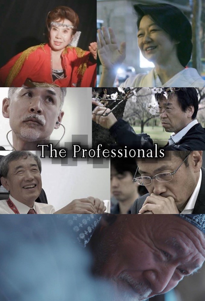 The Professionals (2006)