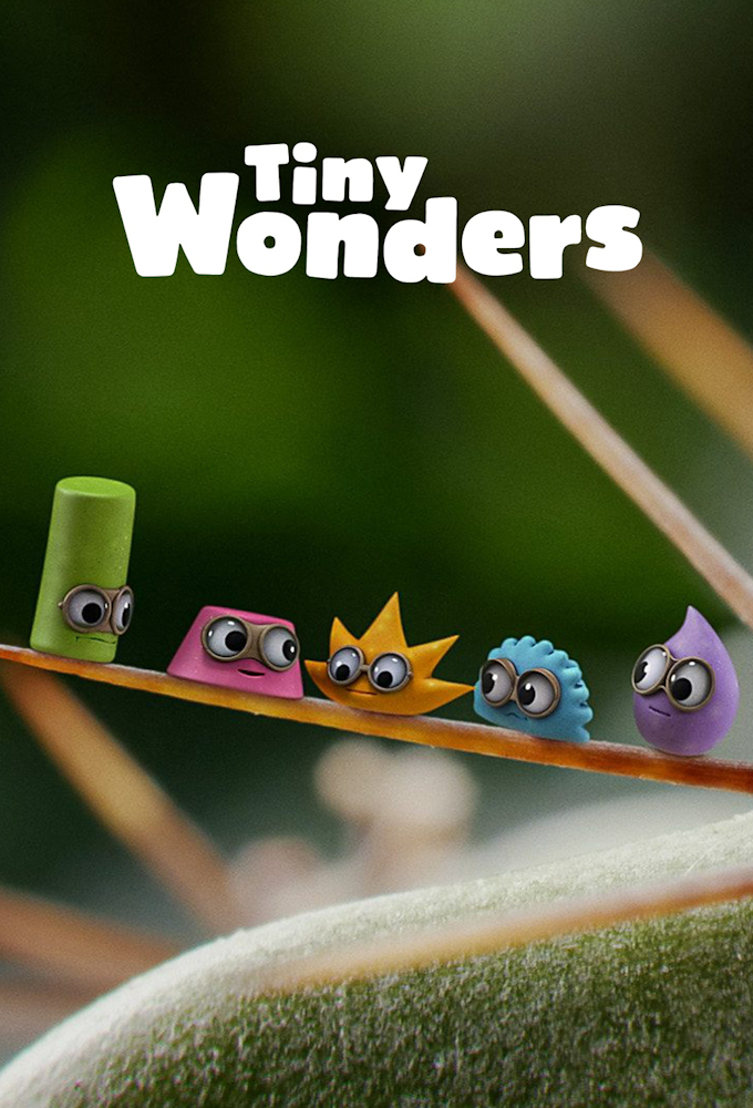 Tiny Wonders