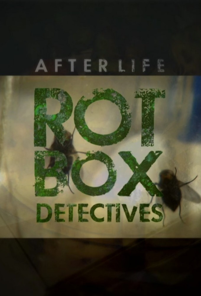 After Life: Rot Box Detectives