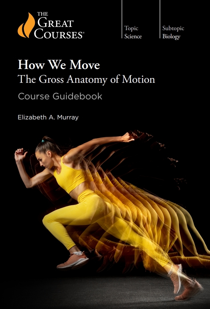 How We Move: The Gross Anatomy of Motion