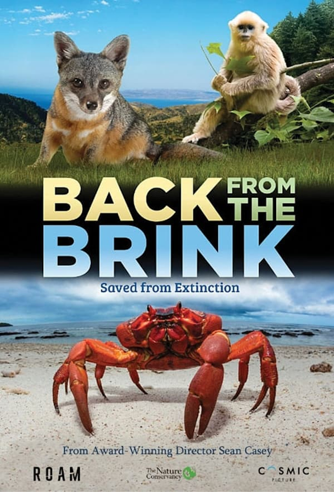 Back from the Brink (UK)